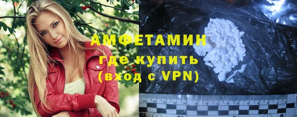 гидра Вязьма